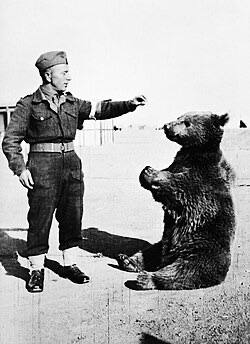 Soldier training Wojtek